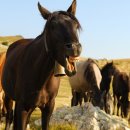 믿음안경 이미지