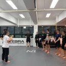 장산 팀매드 (팀매드 장산) 이미지