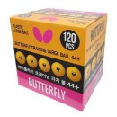 버터플라이 이미지