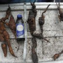 광산구-025 이미지