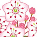 선유애견 이미지