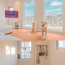 금배네 민박 이미지