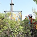 콩각시 농원 이미지