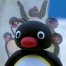 진주세탁소 | 진주 혁신도시 레더제페토 / 명품신발 세탁 전문점