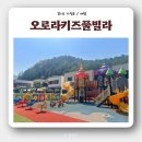 베스트 키즈풀 | [경기도 가평펜션] 초대형 놀이터, 수영장이 있는 ‘오로라키즈풀빌라’ C1 이용 후기