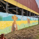 유민목장 이미지