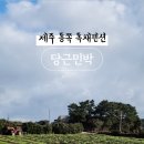 나동민박 이미지