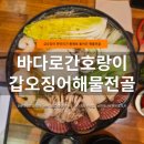 바다나루 | 마곡나루 맛집 바다로간호랑이｜갑오징어해물전골 후기