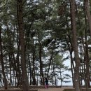 장항오토캠핑장 이미지