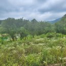 정수리마을회관 이미지