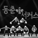 동춘서커스상설공연장 Daum카페