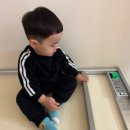 씨유 하남8번로점 | 하남 마일스톤소아과 4차 영유아검진 솔직 후기 | 두돌 영검 예약 꿀팁