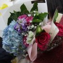 안드레아유치원 이미지