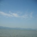 셀프장어 이미지