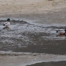 우성초등학교 이미지