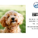 인덕원동물의료센터 이미지