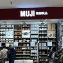 대전 괴정동 롯데백화점 l 무인양품 MUJI 대전점