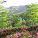 박달재자연휴양림 티스토리