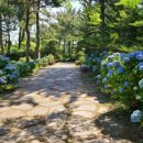 유미목장 이미지