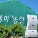 가조농장 이미지