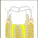 김태경치과의원 이미지