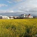 용담동 선사무덤유적 이미지