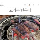 고기는한우다