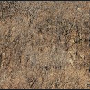 수산리-2 이미지