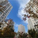 수원가온초등학교 이미지