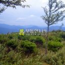 신원면 과정리 이미지