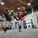 천하 태권도 이미지