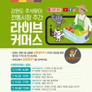 원통건어물 이미지