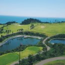 오션비치 이미지