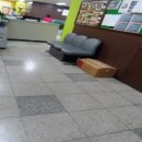 양천로(북측) 네이버블로그