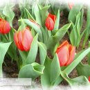 서도지구대 이미지