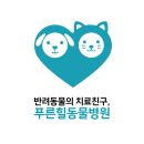 힐동물병원 네이버블로그