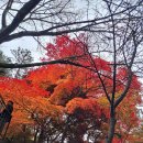 🩵명동돈까스~~바로 맞은편 CU편의점~~🎶 이미지