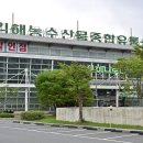 농협하나로유통김해농산물종합유통센타 티스토리