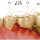 정 동물병원 이미지