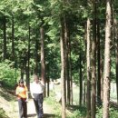 편백권역마을 이미지