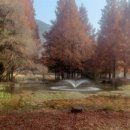 펜션달안동 이미지