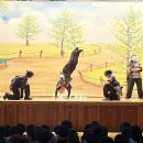 신복초등학교 | 울산신복초등학교 친구들과 신나게 즐긴 HIP 한 조선! 찾아가는공연 | 비보이공연 | 국악비보이 | 케이...