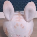 2022083 이미지