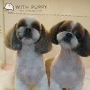 위드퍼피 애견미용실 이미지