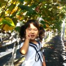 수희농장 이미지