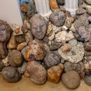캐나다 밴쿠버 그랜빌 아일랜드 암석 인물화(Rock Portraiture) 이미지