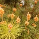 대구농업마이스터고등학교 이미지