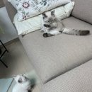 구월농장 이미지