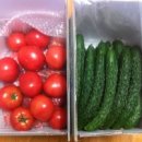 청호농장 이미지