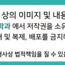 동탄역튼튼척의원 이미지